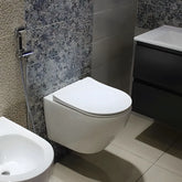 Vas WC Suspendat WS6405, Culoare Alb, Material Portelan-Diplon